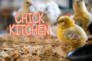 Chick Kitchen: A Designer's Real-World Review