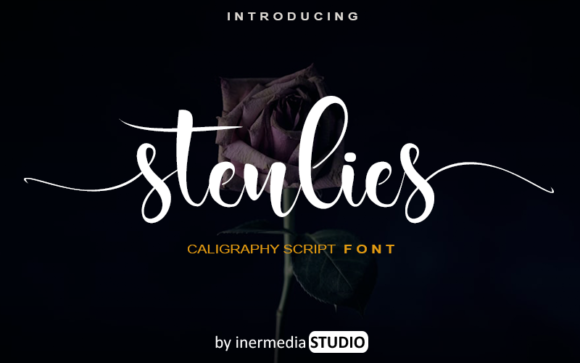 Stenlies: A Designer's Review of This Script Amp Typeface